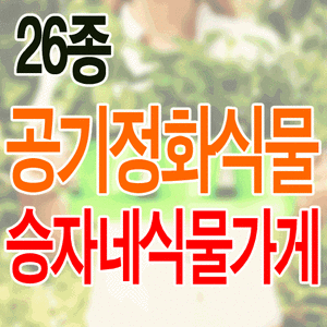 웰빙화분 26종 택일