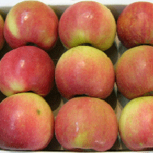 사과부사(30~36과)1박스