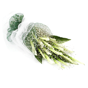 카라 안개꽃 다발