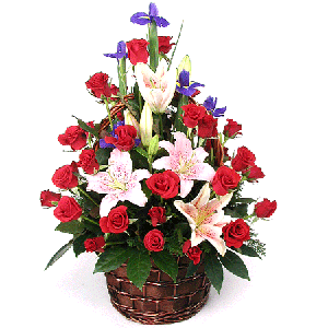 장미 르네브 꽃바구니