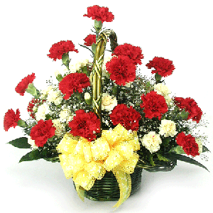 카네이션꽃 바구니