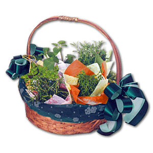 해바라기 장미꽃 바구니