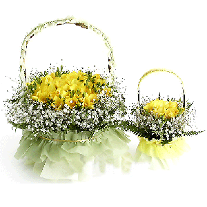 후리지아 장미꽃 바구니