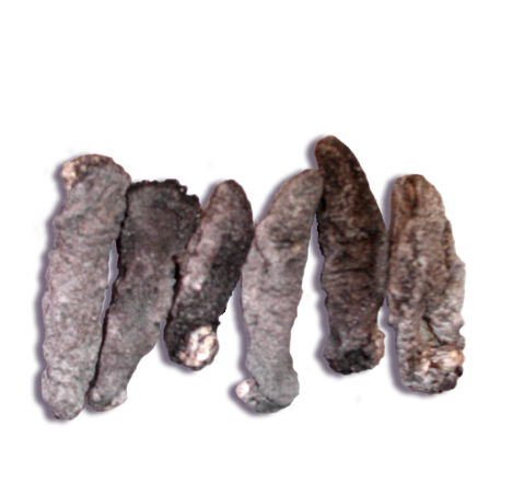 건해삼(미국산600g)