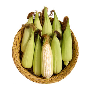 옥수수 한망(32~35개)