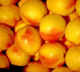 천도복숭아(5개)