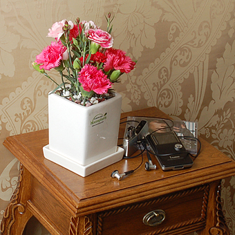 카네이션사각화분