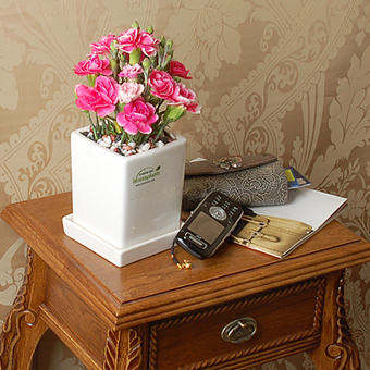 카네이션사각화분2