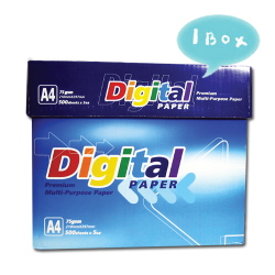 디지털페이퍼8804554031129