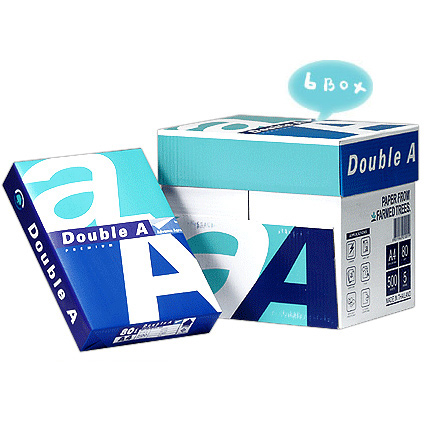 [더블에이] 복사용지 A4 (6박스) -지방,가정택배불가