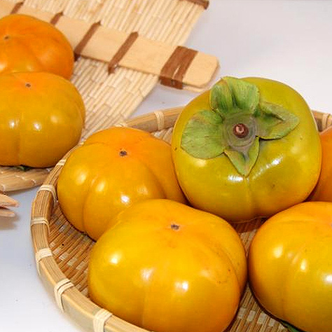 진영단감(5개입)특