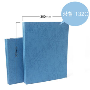 [문화] 메모리 전산화일 2공 132C (청색,레자크) 상철 C2-1511L