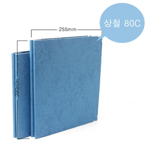 [문화] 메모리 전산화일 2공 80C (청색,레자크) 상철 C2-1195L