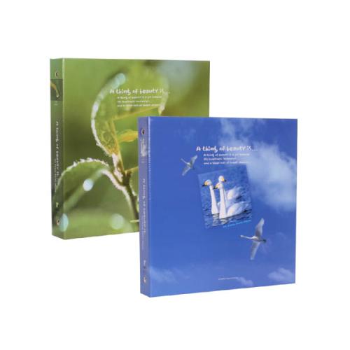 칸나(HA300L)30매(파랑)