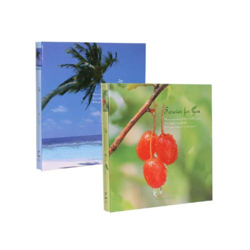 칸나하모니앨범(30매)