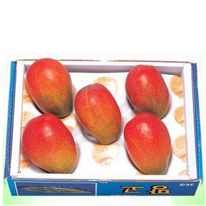 애플망고(5-6입)