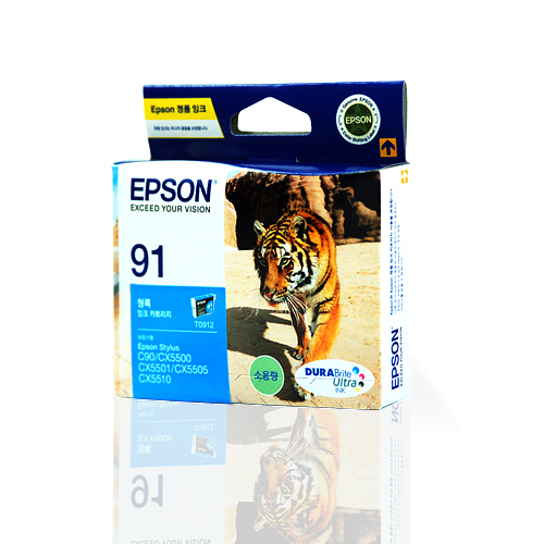 엡손 T091270/파랑