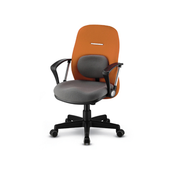 NOS-22302 요추2호