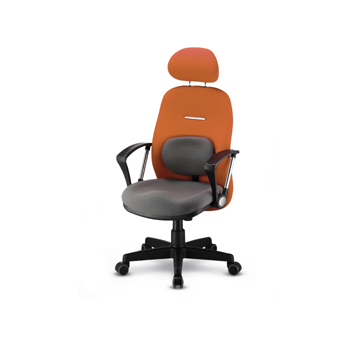 NOS-22301 요추1호 