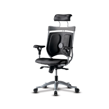 NOS-21702 버드골드(레자/대)