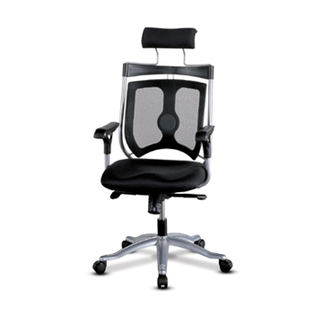 NOS-21701 버드골드(메쉬/대)