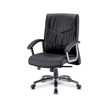 NOS-19902 돌체(중)