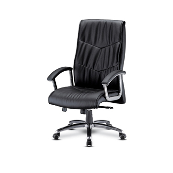 NOS-19901 돌체(대)