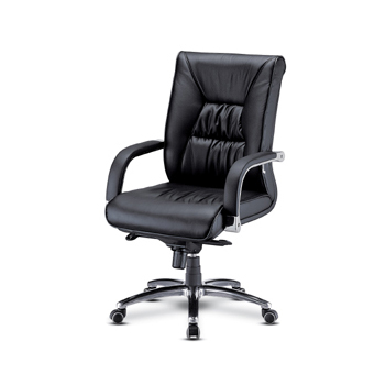 NOS-19102 프레지던트(중/고급형)