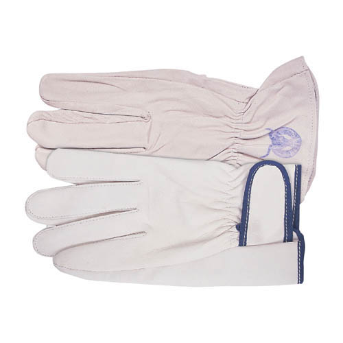 알곤 장갑(PA7235, PA1136)