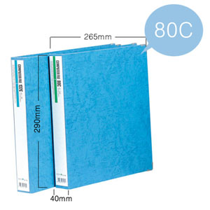 전산화일 22공 80C(청색,레자크) C3-1195L