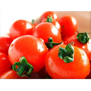 방울토마토(850g)