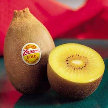 제스프리 골드키위 ***택배발송불가***