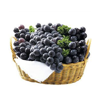 머루포도(특3송이)