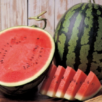 수박8kg이상 ※지방,가정 택배불가