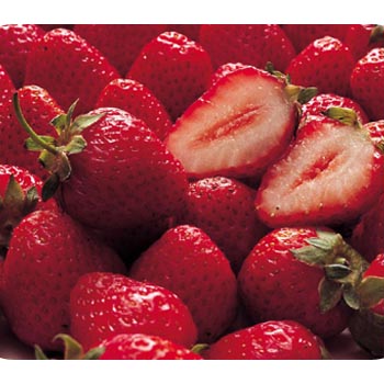 딸기1팩 ※지방,가정 택배불가