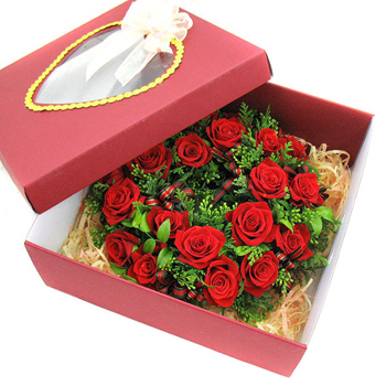 크리스마스드림