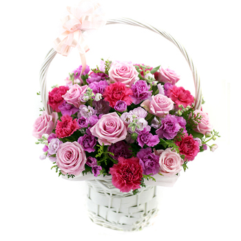카네이션 혼합바구니 2호