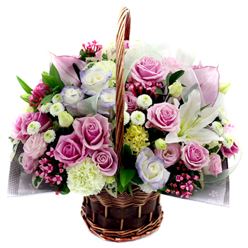 로맨시스트 2호