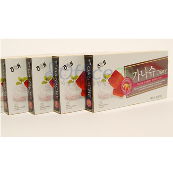 가나슈 다이어리