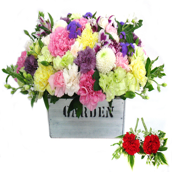 그리운마음+코사지2개