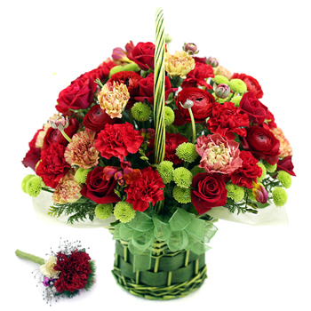 카네이션혼합나구니 1호+코사지2개