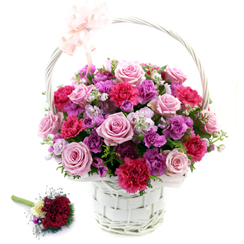 카네이션혼합바구니2호+코사지2개
