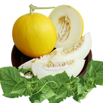 황금메론(1~1.5kg)