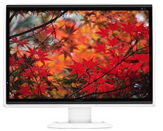 오리온정보통신 OR2226WG 무결점 강화유리