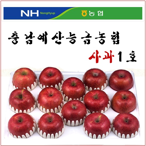 충남 예산능금농협 사과1호 5kg(11~13내)