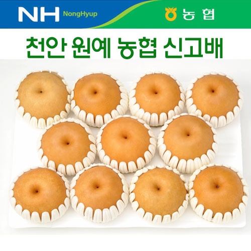 천안원예농협 신고배2호 15kg(21~25내)