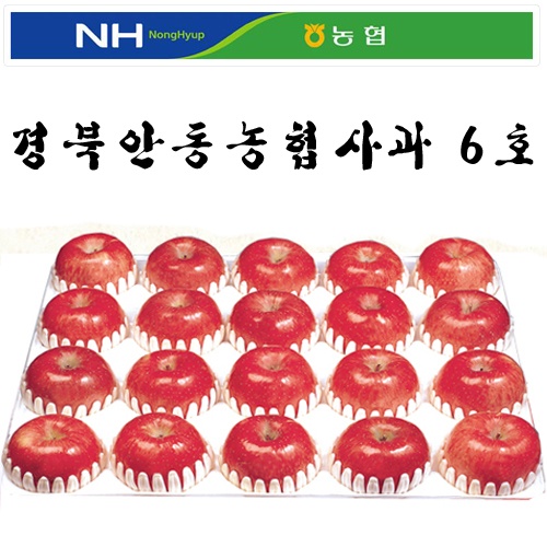 경북 안동농협 사과6호 10kg(31~35내)