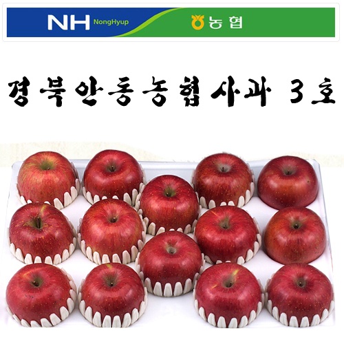 경북 안동농협 사과3호 5kg(17~20내)