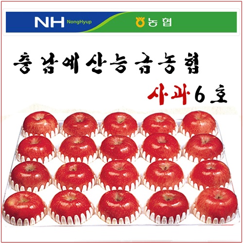 충남 예산능금농협 사과6호 10kg(31~35내)