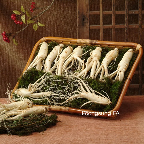 [금산인삼] 수삼 왕대